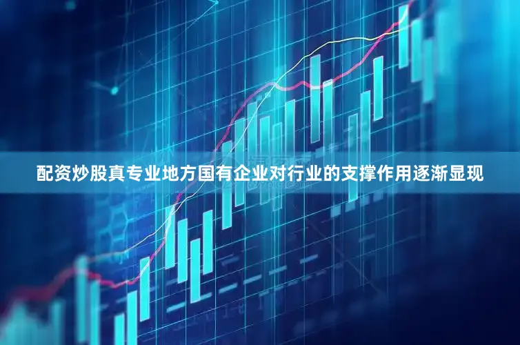 配资炒股真专业地方国有企业对行业的支撑作用逐渐显现