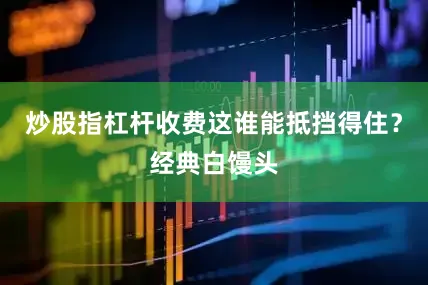 炒股指杠杆收费这谁能抵挡得住？经典白馒头