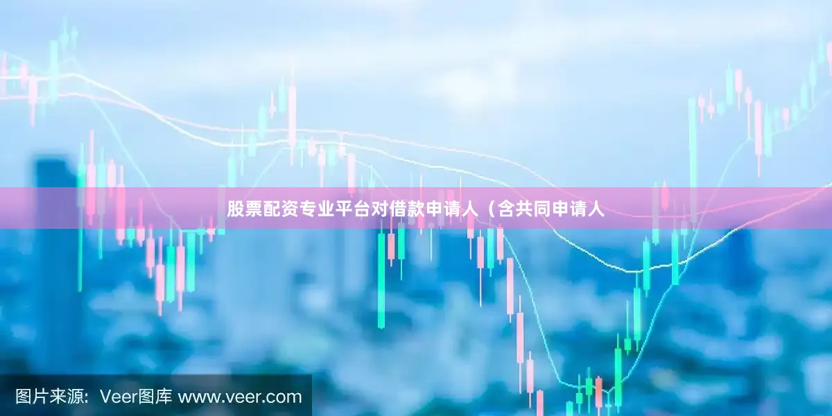 股票配资专业平台对借款申请人（含共同申请人