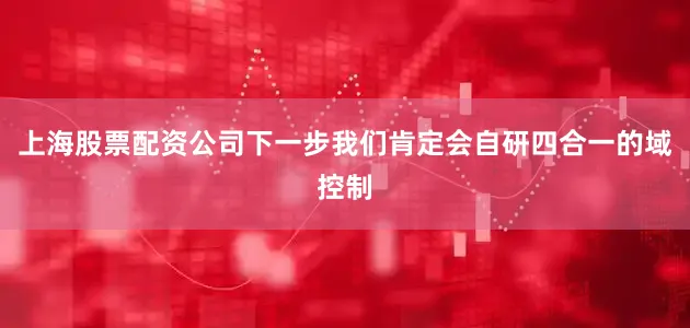 上海股票配资公司下一步我们肯定会自研四合一的域控制